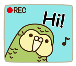 Happy Kakapo 6 Eng. sticker #14369849