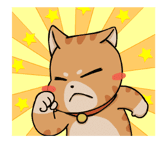 Sumo Cat Animation sticker #14370081