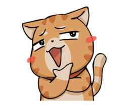 Sumo Cat Animation sticker #14370091