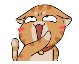 Sumo Cat Animation sticker #14370094