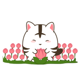 Tora Nekobean 2.0 sticker #14370279