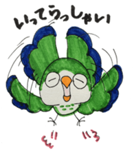 quaker parrot sticker #14371194