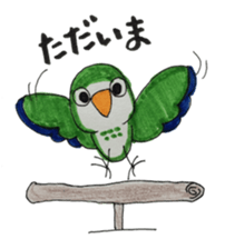 quaker parrot sticker #14371196