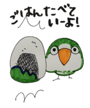 quaker parrot sticker #14371198
