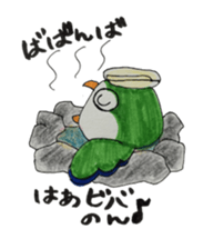 quaker parrot sticker #14371200