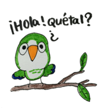 quaker parrot sticker #14371201