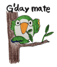 quaker parrot sticker #14371203