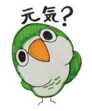 quaker parrot sticker #14371204