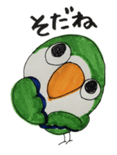 quaker parrot sticker #14371205