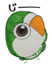 quaker parrot sticker #14371206