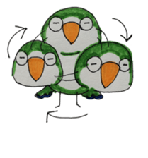 quaker parrot sticker #14371209