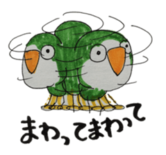 quaker parrot sticker #14371210