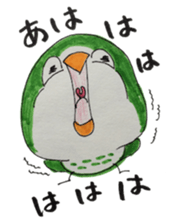 quaker parrot sticker #14371211