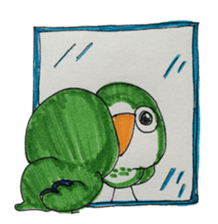 quaker parrot sticker #14371213