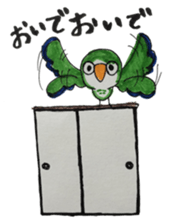 quaker parrot sticker #14371215