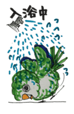 quaker parrot sticker #14371217