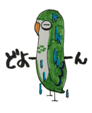 quaker parrot sticker #14371218