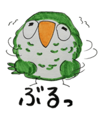 quaker parrot sticker #14371219