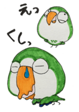 quaker parrot sticker #14371220