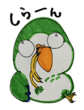 quaker parrot sticker #14371221