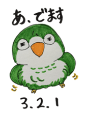 quaker parrot sticker #14371222