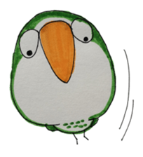quaker parrot sticker #14371224