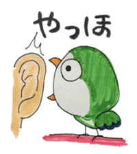 quaker parrot sticker #14371225