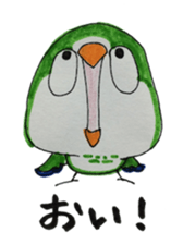 quaker parrot sticker #14371228