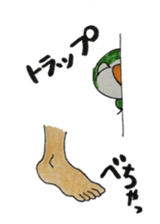 quaker parrot sticker #14371229