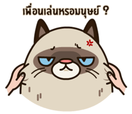 GAGO - Fat Cat Your Friend Ver.2 sticker #14371290