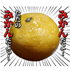 Orange seniors 24 pieces