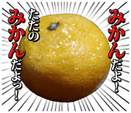 Orange seniors 24 pieces sticker #14371446