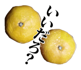 Orange seniors 24 pieces sticker #14371447