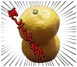 Orange seniors 24 pieces sticker #14371448