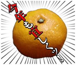 Orange seniors 24 pieces sticker #14371451