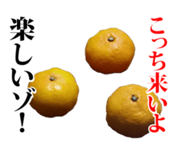 Orange seniors 24 pieces sticker #14371453