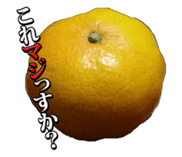 Orange seniors 24 pieces sticker #14371454