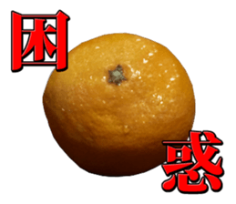 Orange seniors 24 pieces sticker #14371455