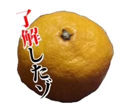 Orange seniors 24 pieces sticker #14371457