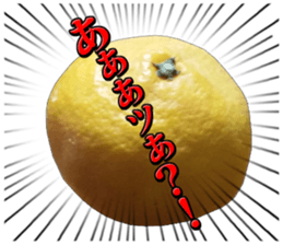 Orange seniors 24 pieces sticker #14371458