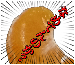 Orange seniors 24 pieces sticker #14371460