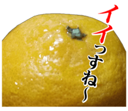 Orange seniors 24 pieces sticker #14371461