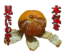 Orange seniors 24 pieces sticker #14371463