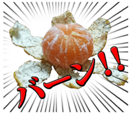 Orange seniors 24 pieces sticker #14371464