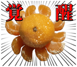 Orange seniors 24 pieces sticker #14371467