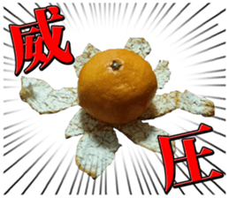 Orange seniors 24 pieces sticker #14371469