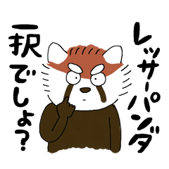 maji lesser panda