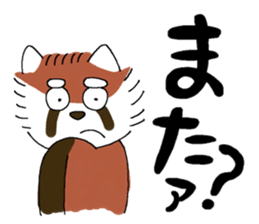maji lesser panda sticker #14372345