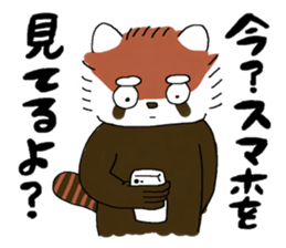 maji lesser panda sticker #14372351