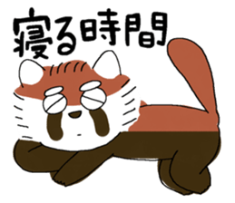 maji lesser panda sticker #14372366